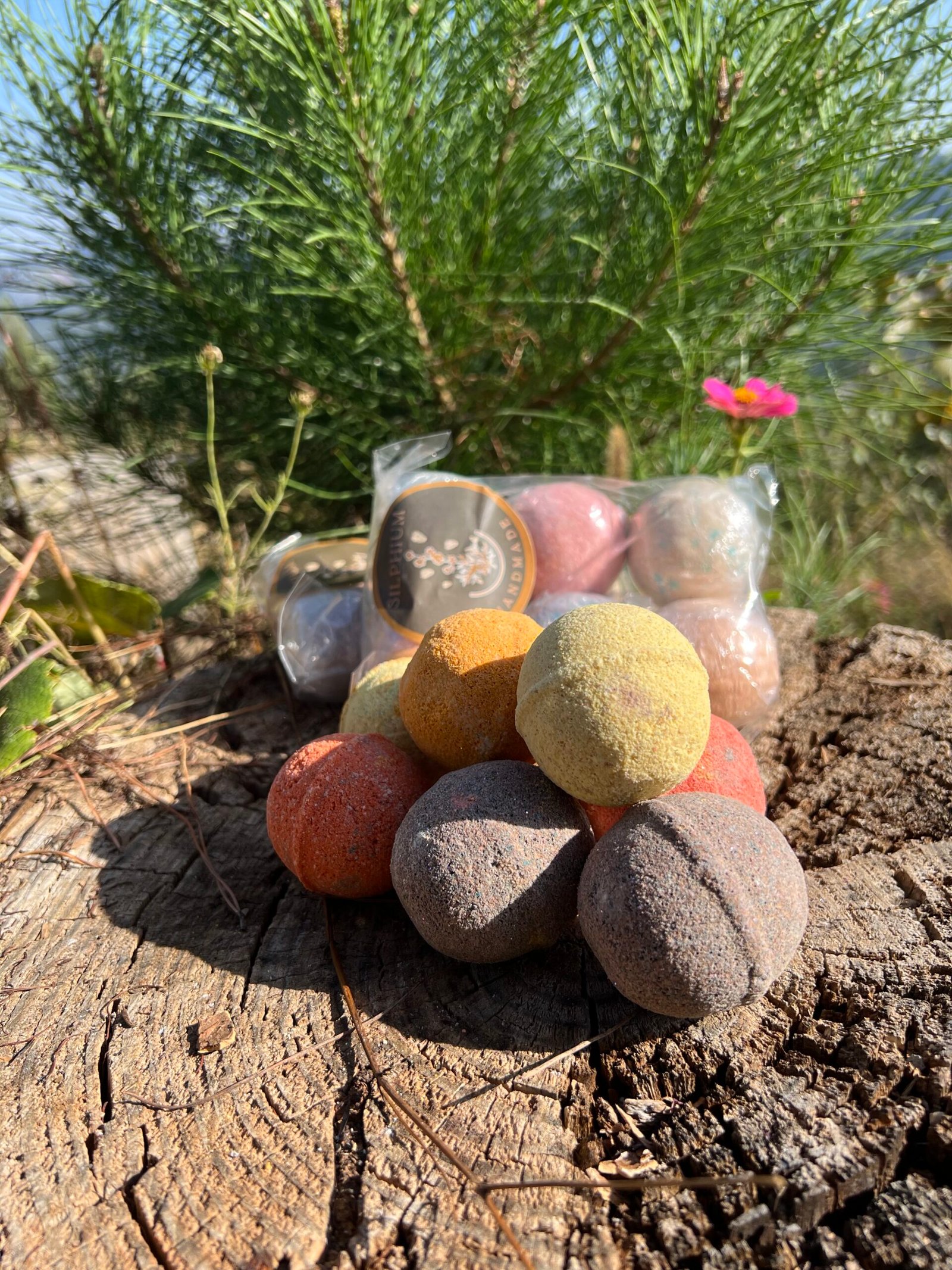 SILPHIUM BANYO TOPU 3